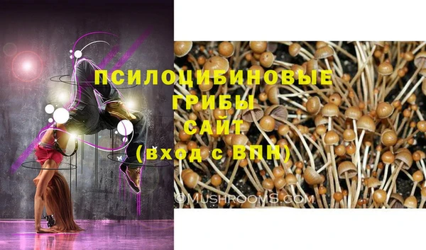 эйфоретик Баксан