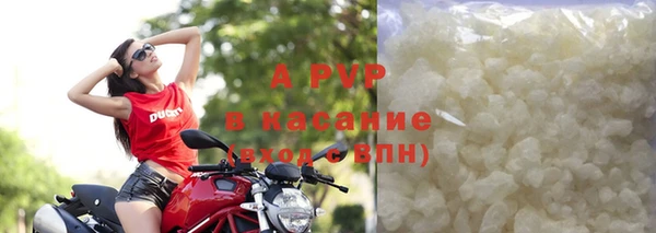 гашик Белокуриха