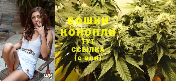 гашик Белокуриха
